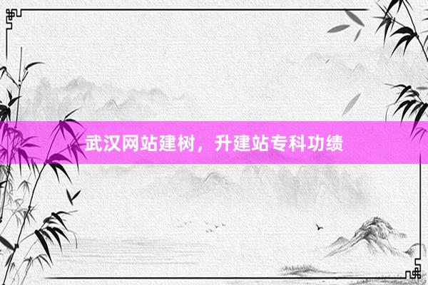 武汉网站建树，升建站专科功绩