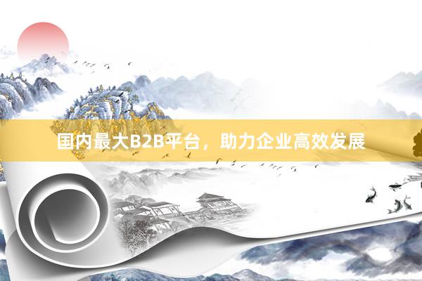 国内最大B2B平台，助力企业高效发展