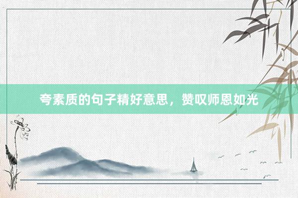 夸素质的句子精好意思，赞叹师恩如光