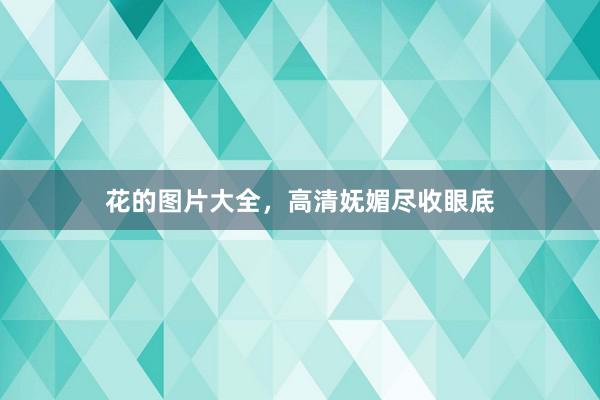 花的图片大全，高清妩媚尽收眼底
