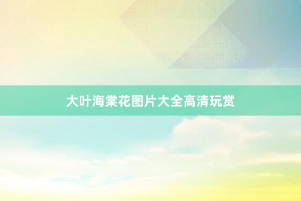 大叶海棠花图片大全高清玩赏